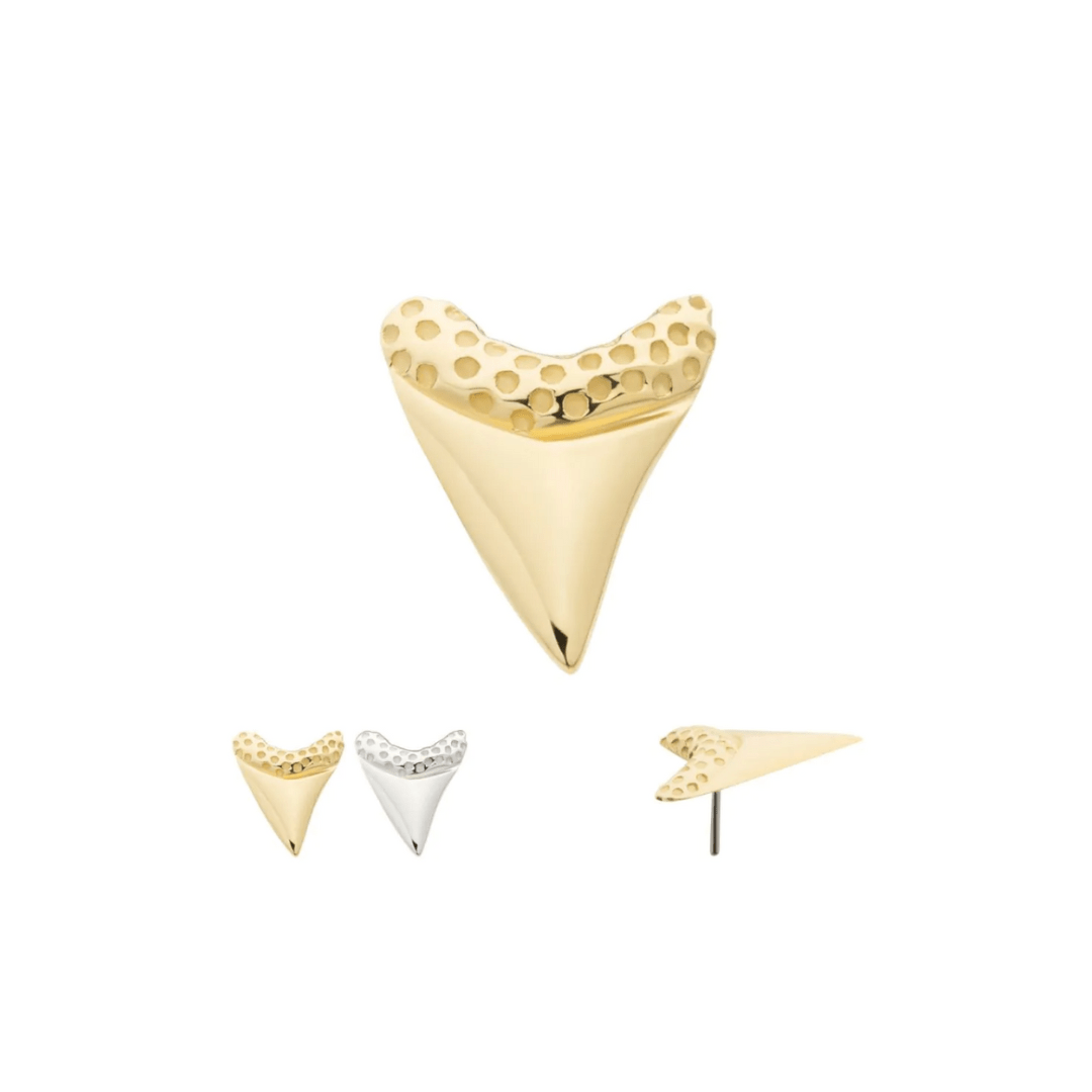 14k Tiny Sharks Tooth Threadless Top - Peterson MADE