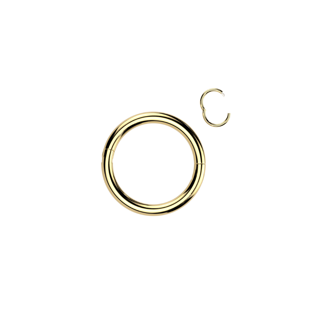 Titanium Hinged Hoop - Half Closure - Segment Ring - Peterson MADE