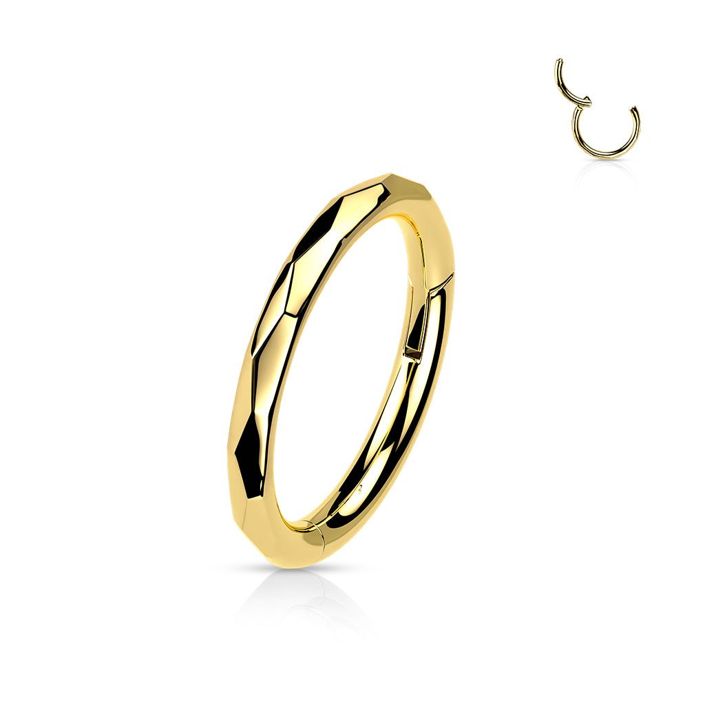 Titanium Hinged Hoop With Faceted Outside Edge - Peterson MADE